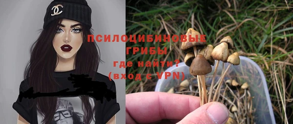 экстази Михайлов
