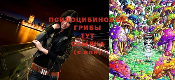 спиды Михайловск