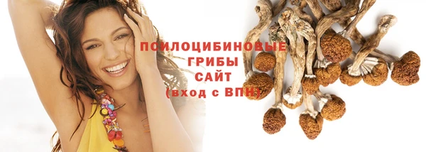 спиды Михайловск