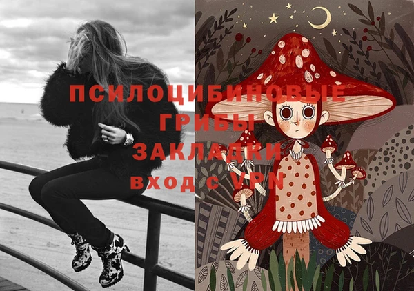 ГАЛЛЮЦИНОГЕННЫЕ ГРИБЫ Надым