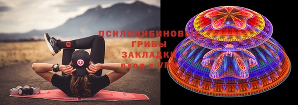 ГАЛЛЮЦИНОГЕННЫЕ ГРИБЫ Надым