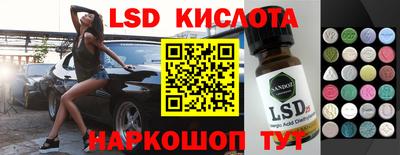 стаф Гай