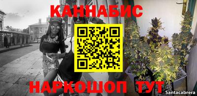 стаф Гай