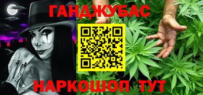 стаф Гай