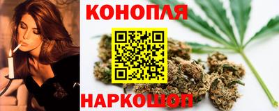 стаф Гай