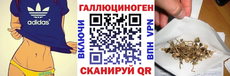 Галлюциногенные грибы GOLDEN TEACHER  Донецк 