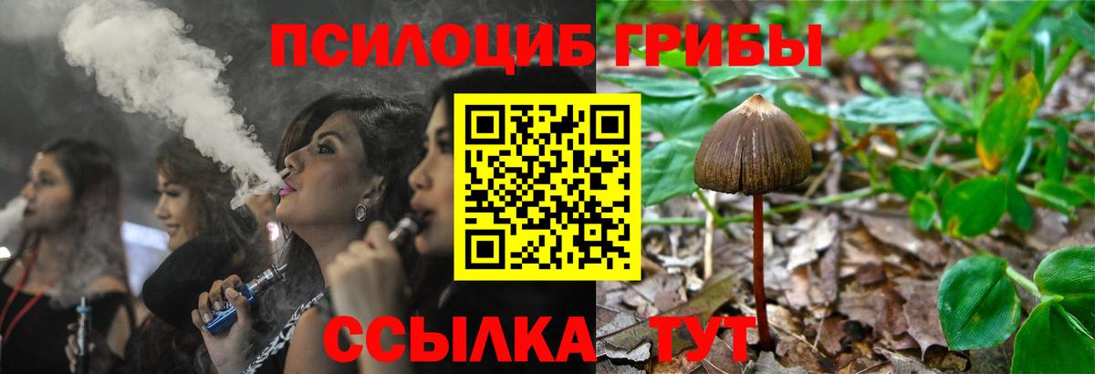 Галлюциногенные грибы мицелий  Галлюциногенные грибы мицелий  Донецк  Вход с VPN 