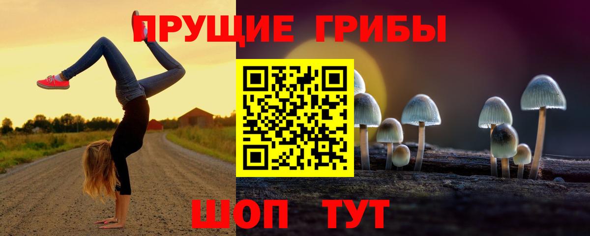 Галлюциногенные грибы мухоморы Донецк